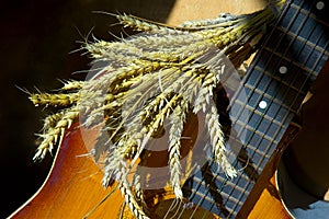 Wheat over guitar