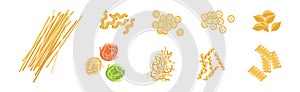 Wheat Pasta of Different Shape and Type Vector Set
