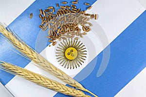 Wheat pods and grains with an argentina flag in the background