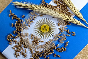 Wheat pods and grains with an argentina flag in the background