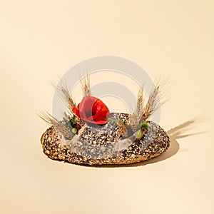 Wheat and poppy grow from bread. Summer idea isolated on pink background.