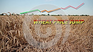 Wheat Price Jump