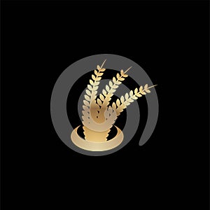 Wheat rice agriculture logo Ideas. Inspiration logo design. Template Vector Illustration. Isolated On White Background