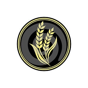 Wheat rice agriculture logo Inspiration vector