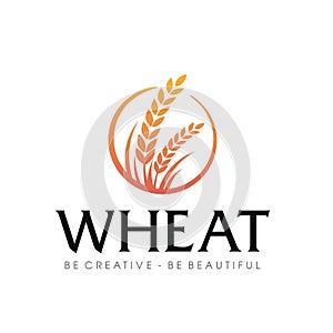 Wheat rice Nutrition logo Inspiration vector