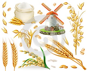 Wheat, rice, oats, barley, flour, mill and grain. 3d vector icon set