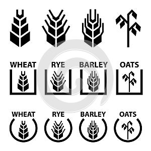 Wheat rye barley oat cereal spike ears symbols