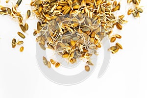 On a white background in a small pile are sprouted rye and wheat seeds