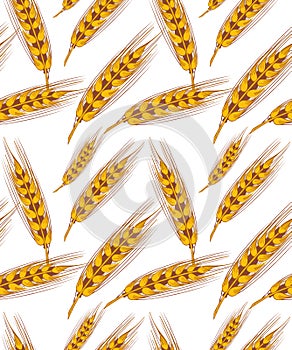 Wheat seamless background