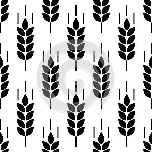 Wheat seamless pattern. Bakery background. Bread grain texture. Spike wheat. Stalk oat, barley, corn, rye. Harvest seed for flour.
