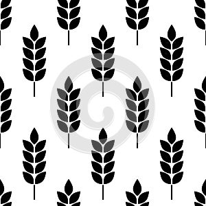 Wheat seamless pattern. Bakery background. Bread grain texture. Spike wheat. Stalk oat, barley, corn, rye, malt, bran, millet, mai