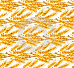 Wheat seamless pattern. Spikelets repeating texture, endless background. Vector illustration