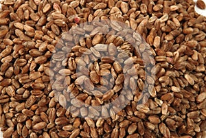Wheat seeds background
