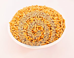 Wholewheat wheat seeds cereal grain dried staple food whole common-wheat seed gandum gehoon beej graines de ble stock photo. photo