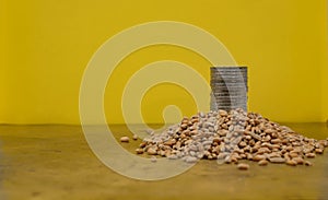 Wheat Seeds. European Union Currency. Golden background.