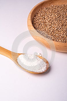 Wheat seeds grains in wooden bowl near with flour in spoon spatula, angle view, isolated on white background