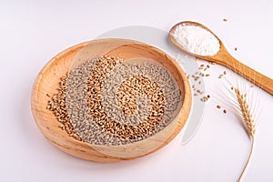 Wheat seeds grains in wooden bowl near with flour in spoon spatula with heap of grains and with ear of wheat, angle view