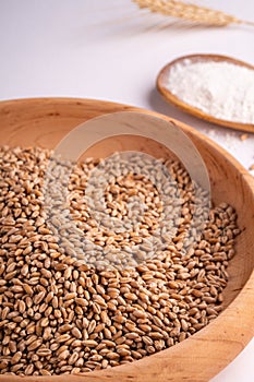 Wheat seeds grains in wooden bowl near with flour in spoon spatula with heap of grains and with ear of wheat, angle view