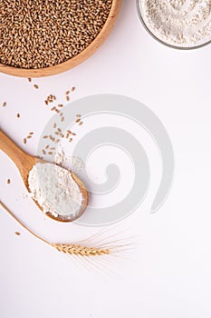 Wheat seeds grains in wooden bowl, wheat flour in glass bowl, near with flour in spoon spatula with heap of grains, ear of wheat