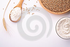 Wheat seeds grains in wooden bowl, wheat flour in glass bowl, near with flour in spoon spatula with heap of grains, ear of wheat