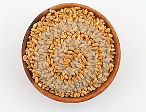 Wheat seeds