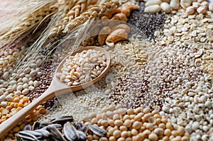 Wheat seeds in wooden spoon on cereal pile background