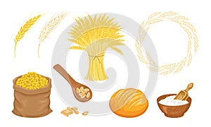 Wheat set. Grain sack, bowl of flour, spoon, wheat wreath, freshly baked cereal bread, ear cartoon and outline and sheaf of wheat.