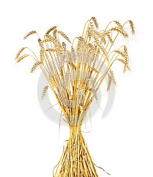 Wheat sheaf