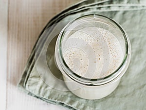 Wheat sourdough starter, top view, copy space