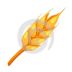 Wheat spike icon.