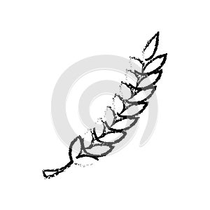 Wheat spike isolated icon