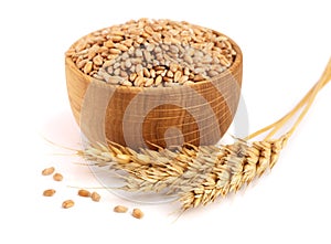 Wheat spike and wheat grain in a wooden bowl isolated on white background
