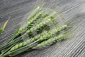 Wheat spike with white background, wheat spike plant, sample wheat spike