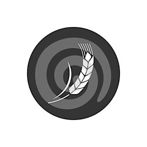 Wheat spike white isolated on gray background. Grain plant silhouette. Spica icon. Ear organic. Vector illustration flat