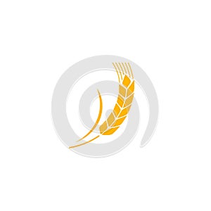 Wheat spike yellow isolated on white background. Grain plant silhouette. Spica icon. Ear organic. illustration flat