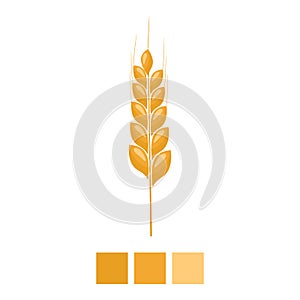 Wheat spike yellow isolated on white background. Organic Ear grain with flat and solid color design. Vector Illustration