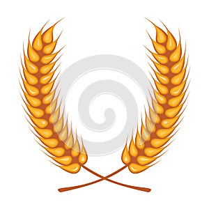 Wheat spikes crown decoration isolated icon