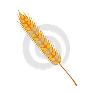 Wheat spikes decoration isolated icon