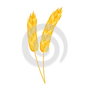 wheat spikes icon