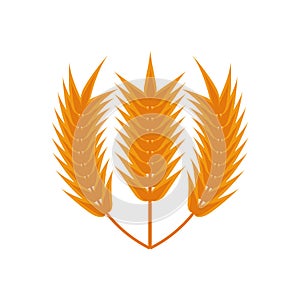 Wheat spikes nature isolated icon
