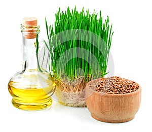 Wheat sprouts, wheat seeds in the wooden bowl and