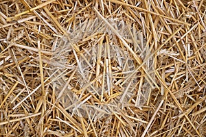 Wheat straw pile background