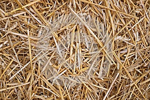 Wheat straw pile background photo