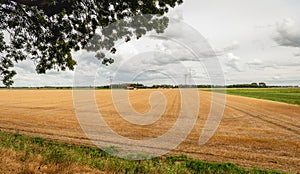 Wheat stubble field after harvesting