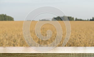 Wheat table background. Empty wooden table on the background of a summer golden wheat or rye field. Template for food