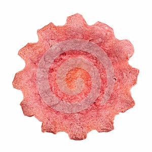 Wheat tartlet on white photo