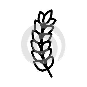 Wheat thin line vector icon