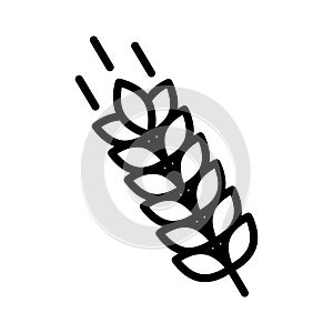 Wheat thin line vector icon