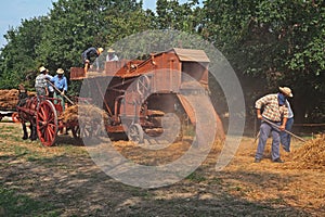 Wheat threshing with ancient equipment during the country fair