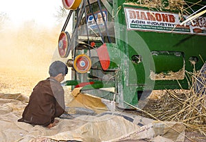 Wheat threshing